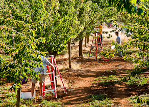 Joan and Ken Erickson
